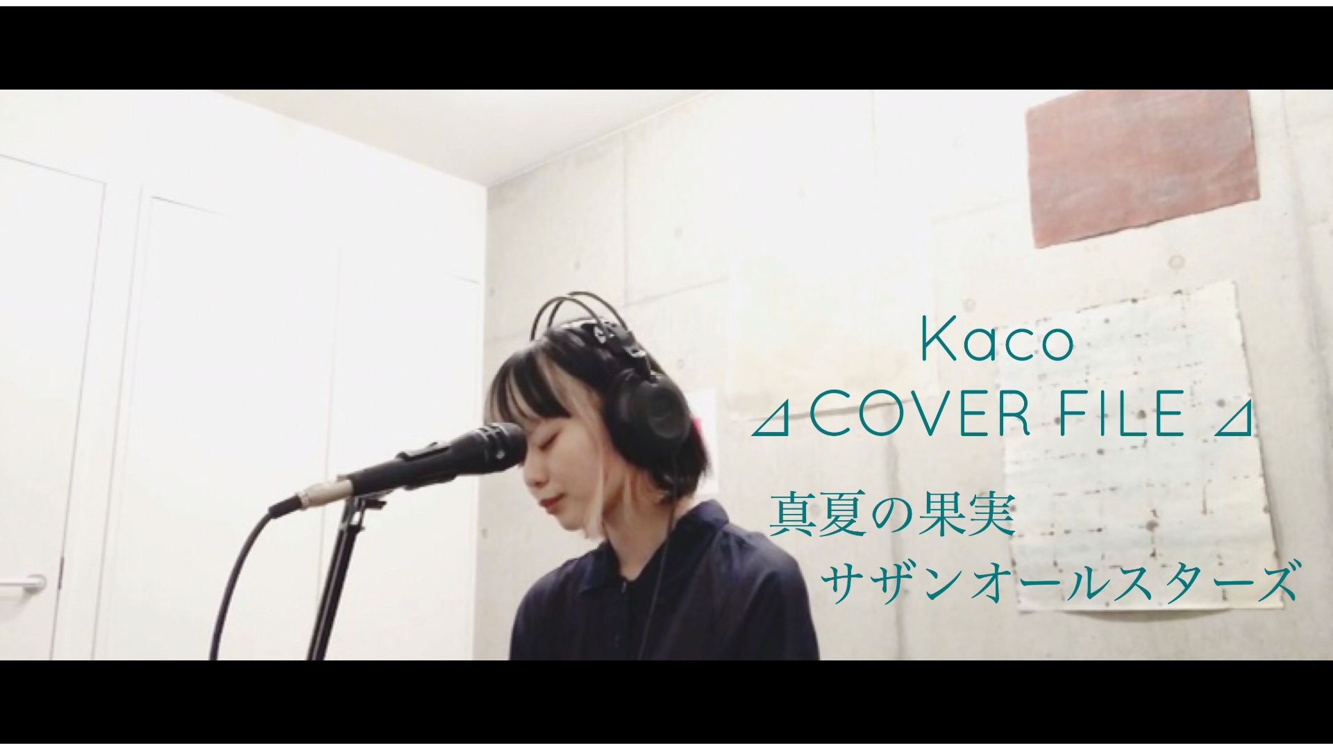 サザンオールスターズ 真夏の果実 Kaco Cover File Kaco Official Site